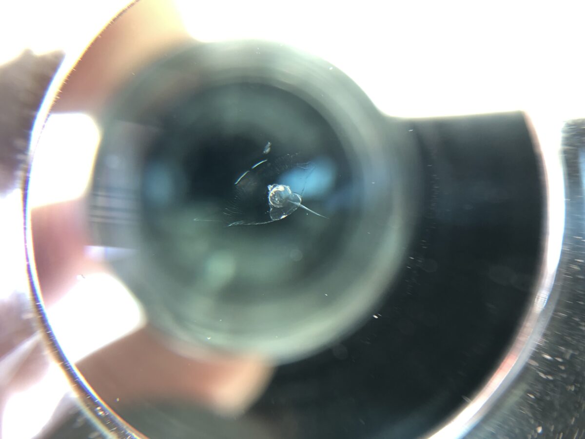 ハイエースのフロントガラス飛び石傷修理後