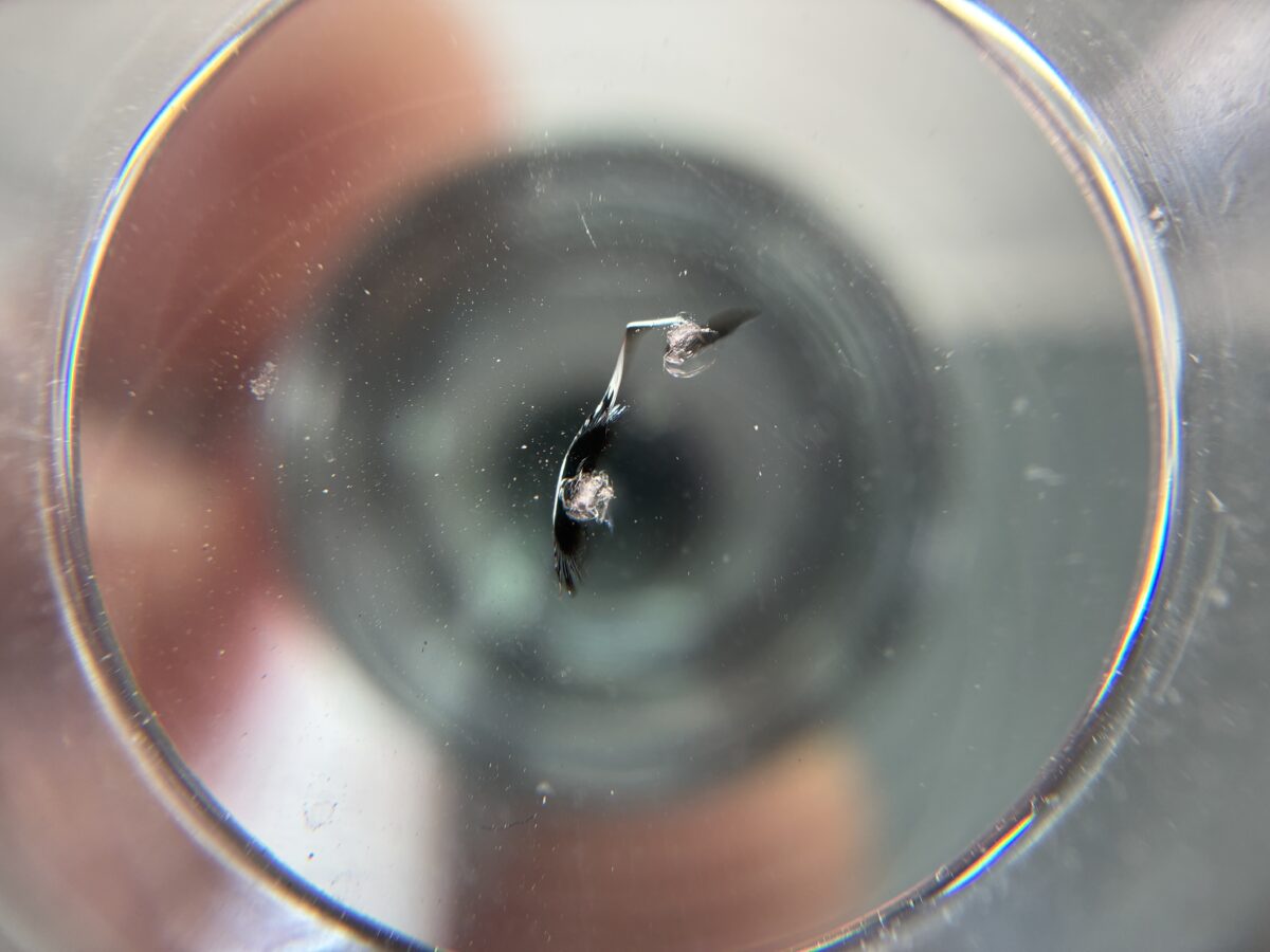 衝撃点が複数の飛び石傷修理