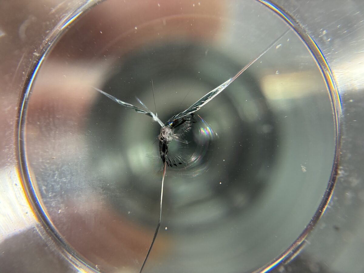 スバルWRX フロントガラスに飛び石傷が・・・